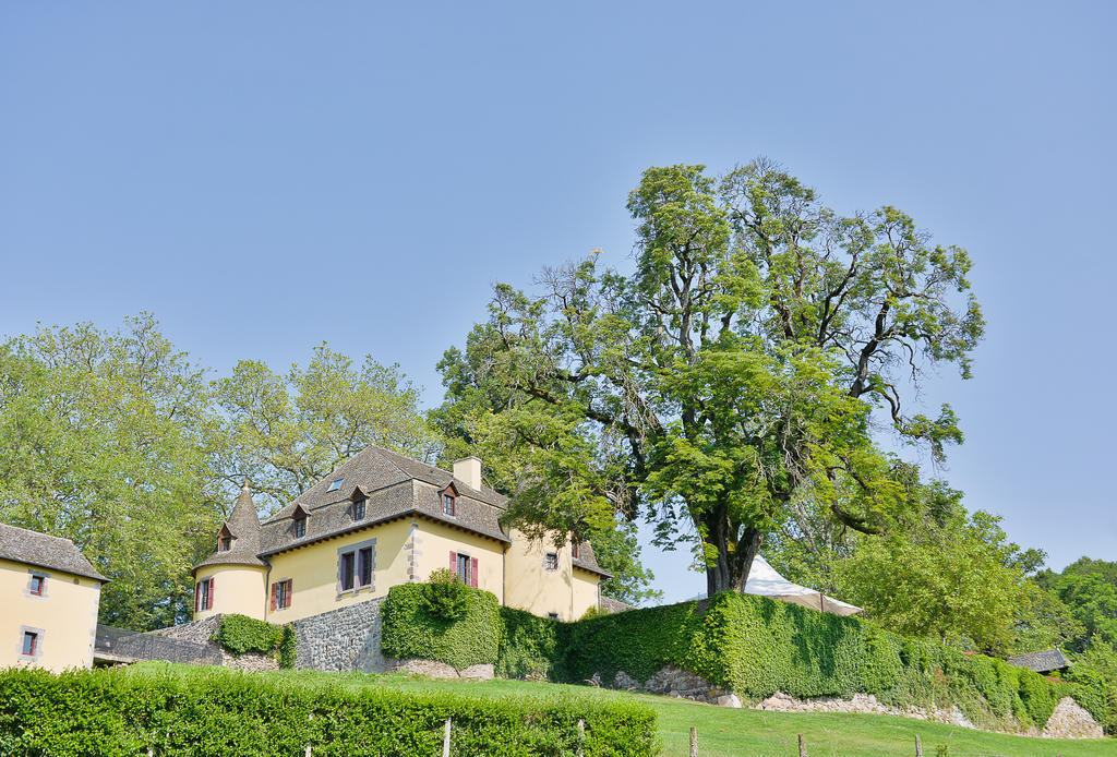 Chateau De Salles Везак Экстерьер фото